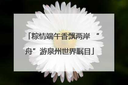 粽情端午香飘两岸 “舟”游泉州世界瞩目