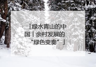 绿水青山的中国丨余村发展的“绿色变奏”