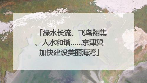 绿水长流、飞鸟翔集、人水和谐……京津冀加快建设美丽海湾