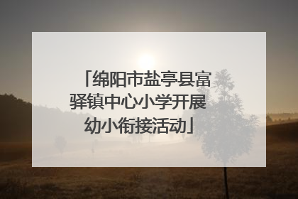 绵阳市盐亭县富驿镇中心小学开展幼小衔接活动