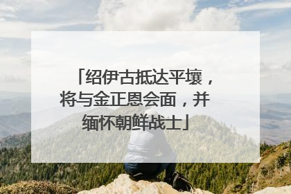 绍伊古抵达平壤，将与金正恩会面，并缅怀朝鲜战士
