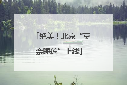 绝美！北京“莫奈睡莲”上线