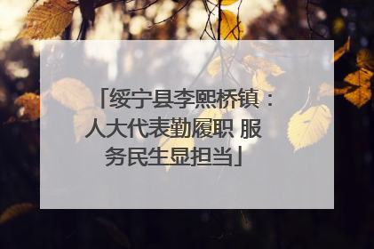 绥宁县李熙桥镇：人大代表勤履职 服务民生显担当