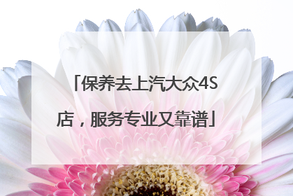 保养去上汽大众4S店，服务专业又靠谱
