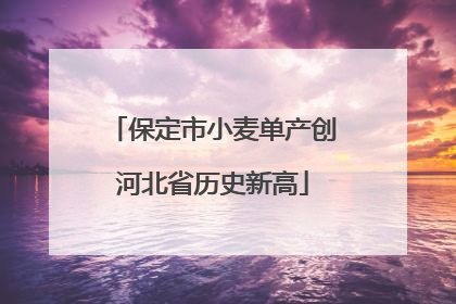 保定市小麦单产创河北省历史新高