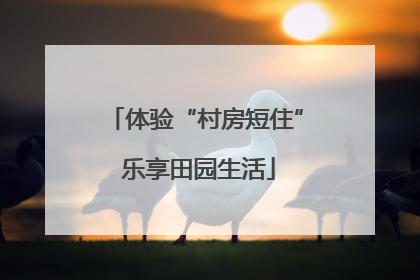 体验“村房短住” 乐享田园生活