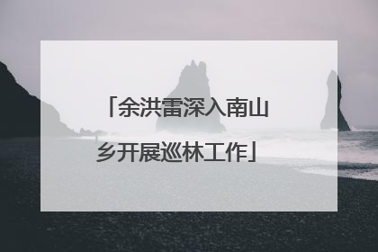 余洪雷深入南山乡开展巡林工作