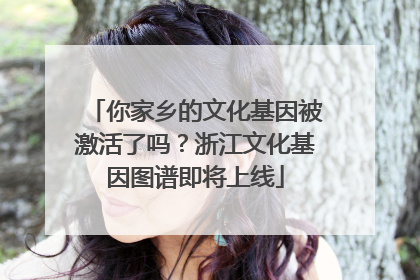 你家乡的文化基因被激活了吗？浙江文化基因图谱即将上线