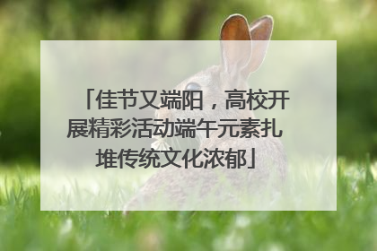 佳节又端阳，高校开展精彩活动端午元素扎堆传统文化浓郁