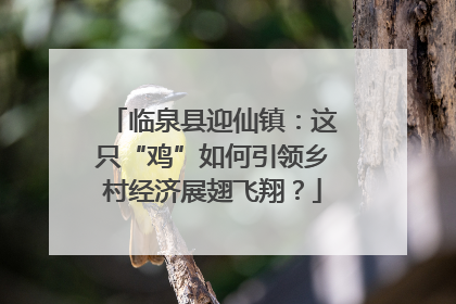 临泉县迎仙镇：这只“鸡”如何引领乡村经济展翅飞翔？