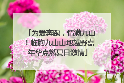 为爱奔跑，情满九山！临朐九山山地越野嘉年华点燃夏日激情