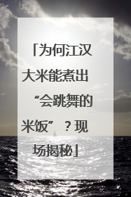 为何江汉大米能煮出“会跳舞的米饭”？现场揭秘
