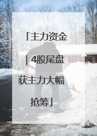 主力资金｜4股尾盘获主力大幅抢筹