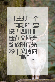 主打一个“非遗”震撼！四川非遗在文博会绽放时代光彩｜文博向“新”