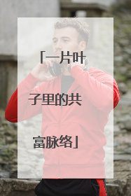 一片叶子里的共富脉络