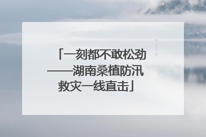 一刻都不敢松劲——湖南桑植防汛救灾一线直击