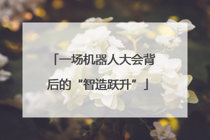 一场机器人大会背后的“智造跃升”