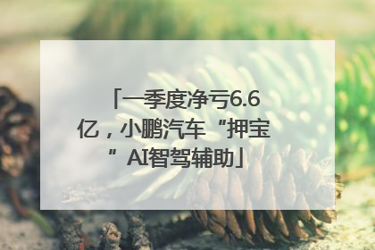 一季度净亏6.6亿，小鹏汽车“押宝”AI智驾辅助