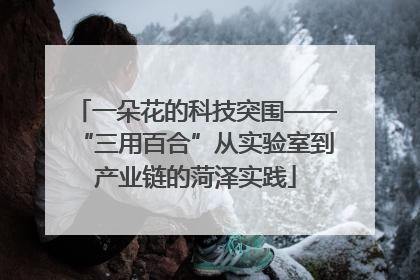 一朵花的科技突围——“三用百合”从实验室到产业链的菏泽实践