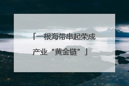 一根海带串起荣成产业“黄金链”