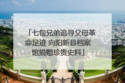 七旬兄弟追寻父母革命足迹 向阳新县档案馆捐赠珍贵史料