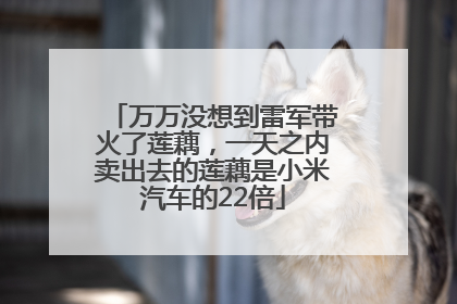 万万没想到雷军带火了莲藕，一天之内卖出去的莲藕是小米汽车的22倍