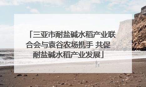 三亚市耐盐碱水稻产业联合会与袁谷农场携手 共促耐盐碱水稻产业发展