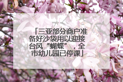 三亚部分商户准备好沙袋用以迎接台风“蝴蝶”，全市幼儿园已停课