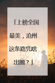 上榜全国最美，沧州这条路凭啥出圈？
