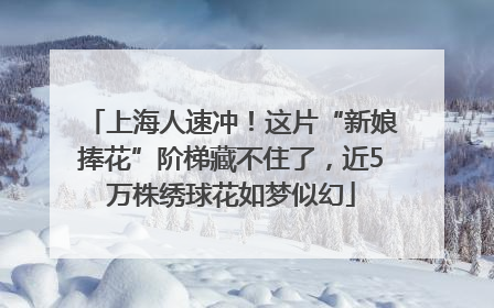 上海人速冲！这片“新娘捧花”阶梯藏不住了，近5万株绣球花如梦似幻