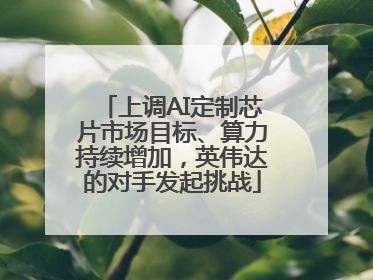 上调AI定制芯片市场目标、算力持续增加，英伟达的对手发起挑战