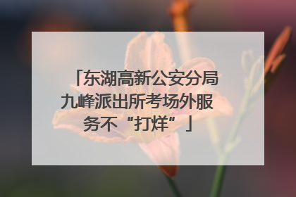 东湖高新公安分局九峰派出所考场外服务不“打烊”