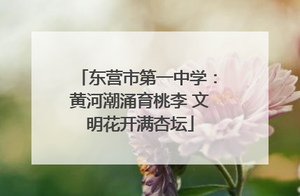 东营市第一中学：黄河潮涌育桃李 文明花开满杏坛