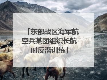 东部战区海军航空兵某团组织长航时反潜训练