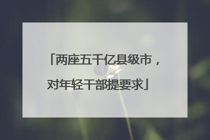两座五千亿县级市，对年轻干部提要求