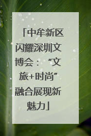 中牟新区闪耀深圳文博会：“文旅+时尚”融合展现新魅力