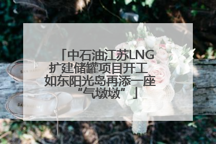 中石油江苏LNG扩建储罐项目开工 如东阳光岛再添一座“气墩墩”