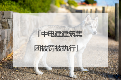 中电建建筑集团被罚被执行