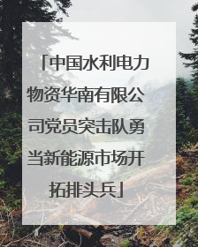 中国水利电力物资华南有限公司党员突击队勇当新能源市场开拓排头兵