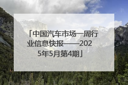 中国汽车市场一周行业信息快报——2025年5月第4期