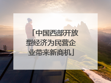 中国西部开放型经济为民营企业带来新商机