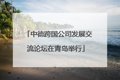 中德跨国公司发展交流论坛在青岛举行