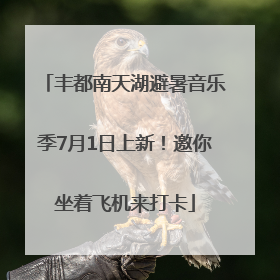 丰都南天湖避暑音乐季7月1日上新！邀你坐着飞机来打卡