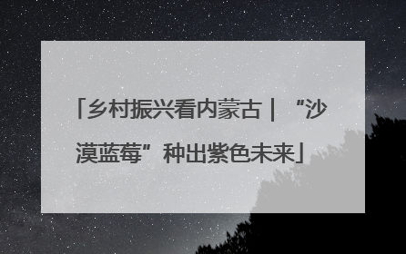 乡村振兴看内蒙古｜“沙漠蓝莓”种出紫色未来