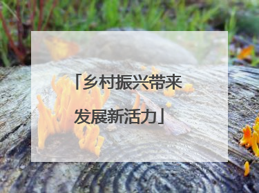 乡村振兴带来发展新活力