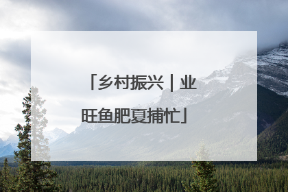 乡村振兴｜业旺鱼肥夏捕忙