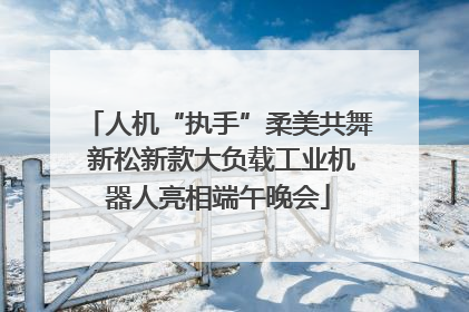 人机“执手”柔美共舞 新松新款大负载工业机器人亮相端午晚会