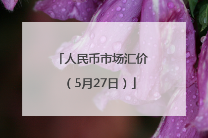 人民币市场汇价（5月27日）