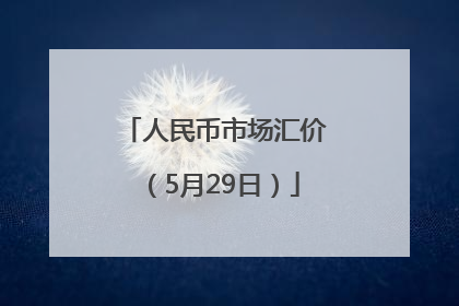 人民币市场汇价（5月29日）