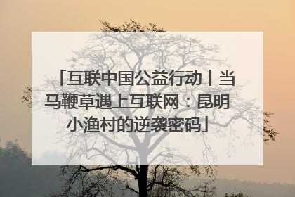 互联中国公益行动丨当马鞭草遇上互联网：昆明小渔村的逆袭密码
